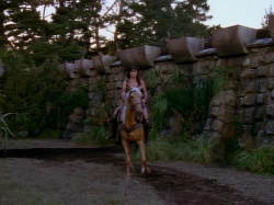 extant_XenaWarriorPrincess_1x05_ThePathNotTaken_00739.jpg